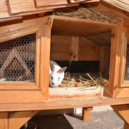 Haus Sonnblick Apartman Abtenau Kültér fotó